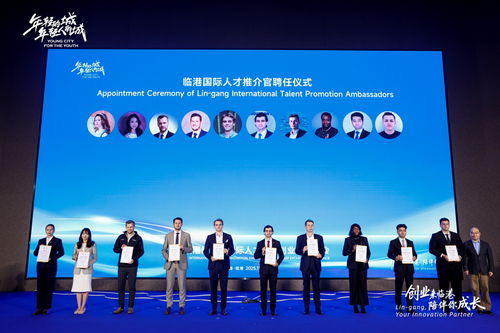 六年引才超14万！临港新片区再推“小蓝鲸”计划，助力高校学子实习实践与企业咨询发展